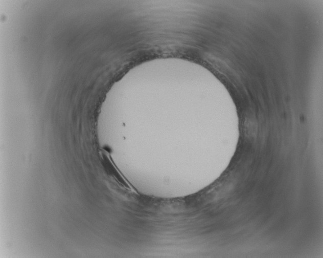 X0000073750865200608311933