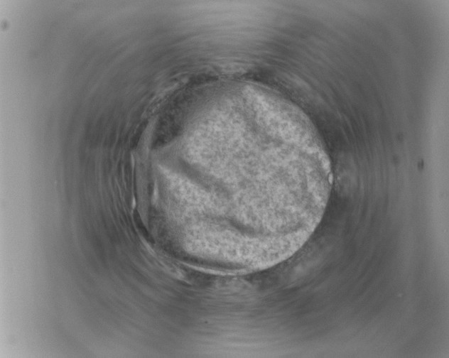 X0000073750866200608311933