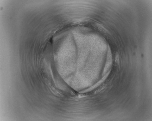 X0000073750868200608311933