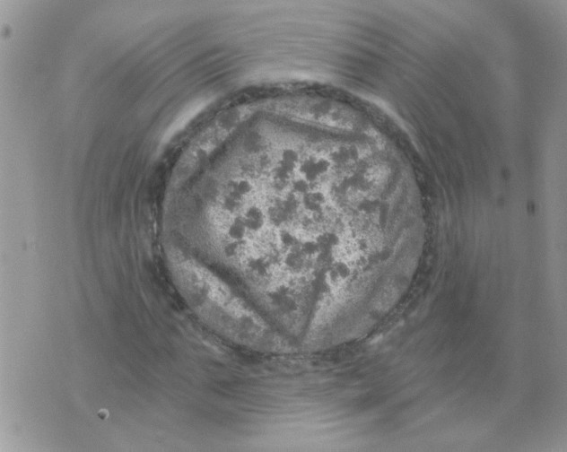 X0000073750871200608311932