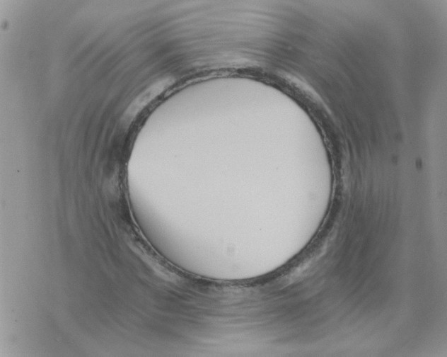 X0000073750873200608311932