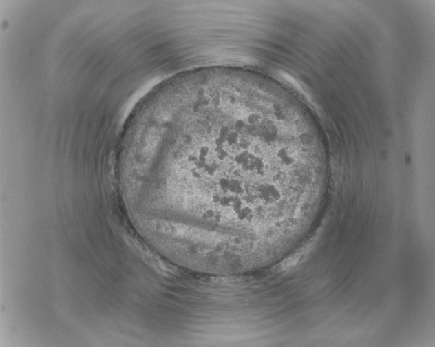 X0000073750875200608311932