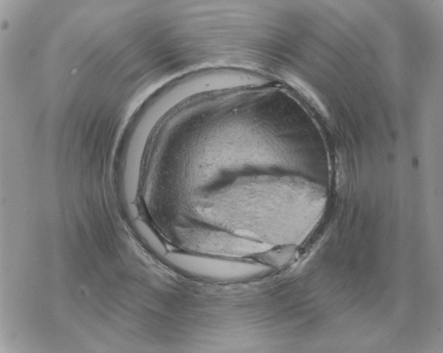 X0000073750876200608311932