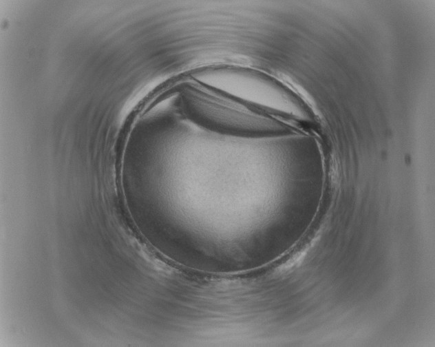 X0000073750877200608311932