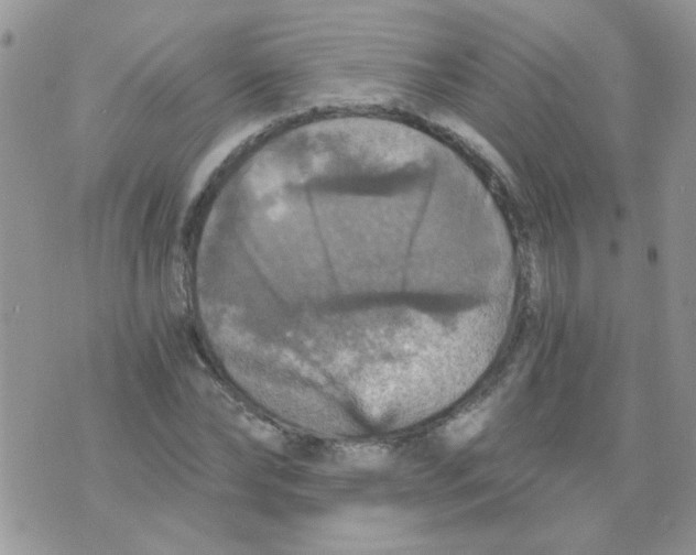 X0000073750878200608311932