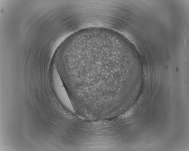 X0000073750879200608311932