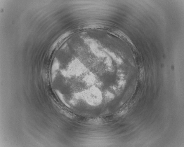 X0000073750882200608311932