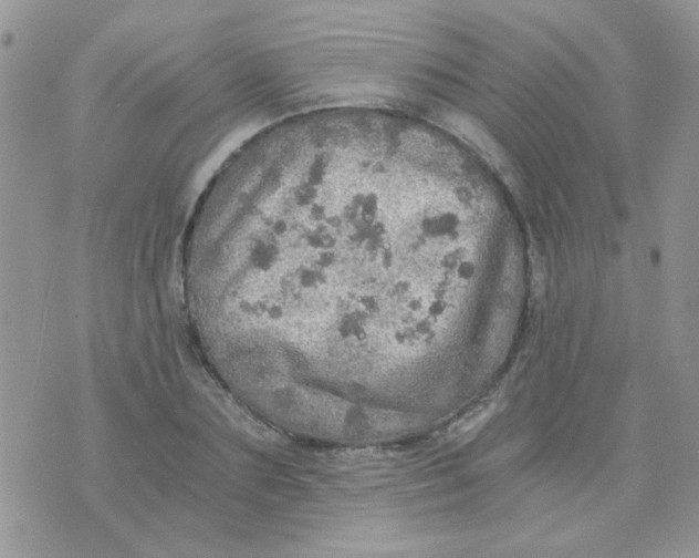 X0000073750883200608311932