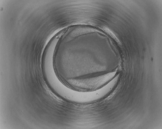 X0000073750884200608311932