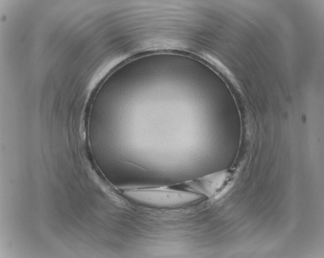 X0000073750885200608311932