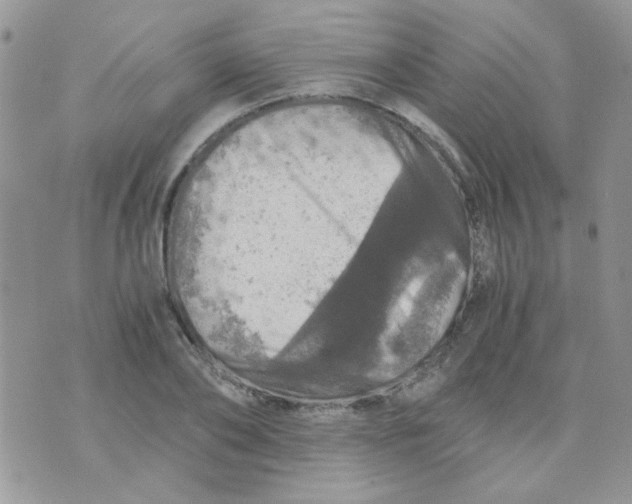 X0000073750886200608311932