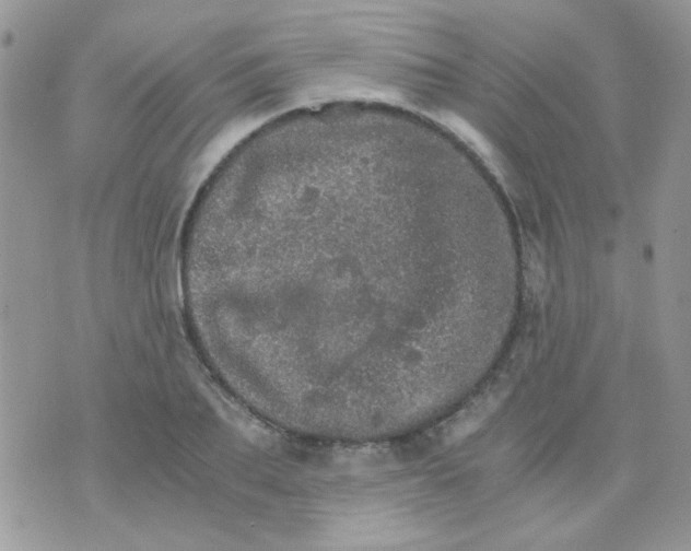 X0000073750887200608311932