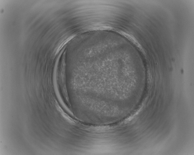 X0000073750889200608311932