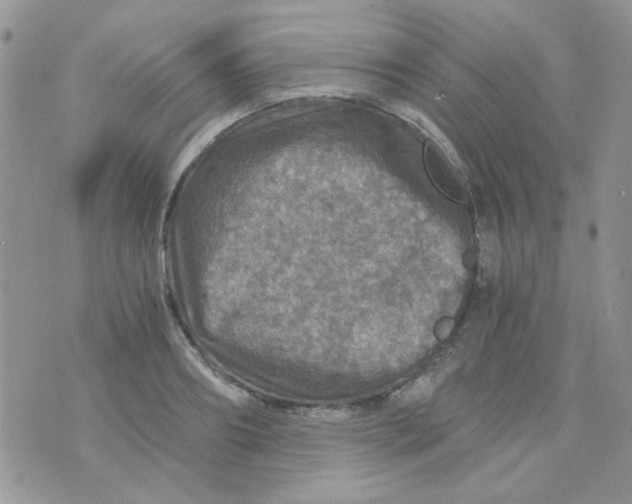 X0000073750890200608311932