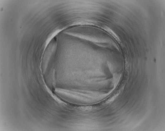 X0000073750893200608311932