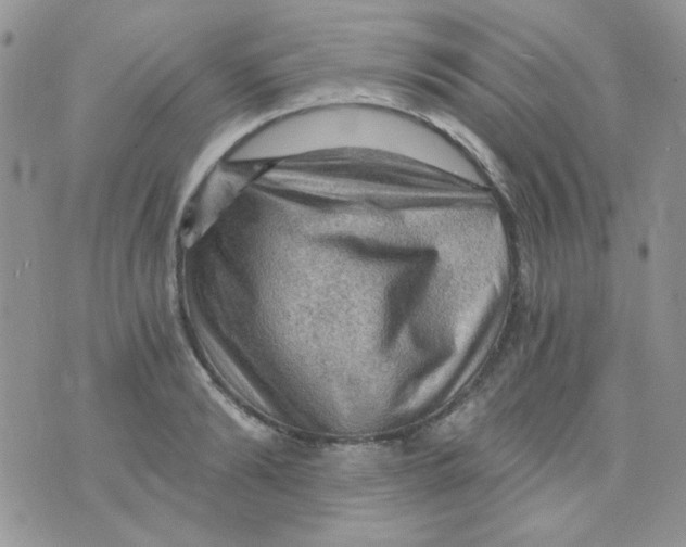 X0000073750894200608311932