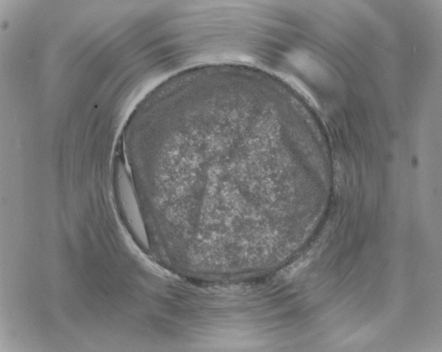 X0000073750895200608311932