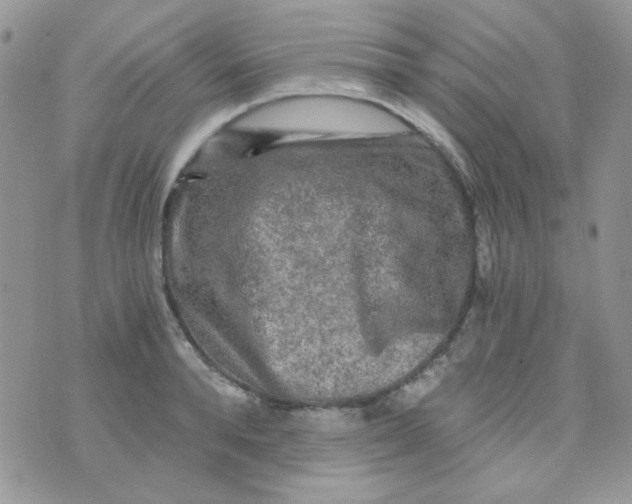 X0000073750896200608311932