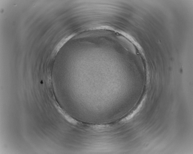 X0000073750897200608311932