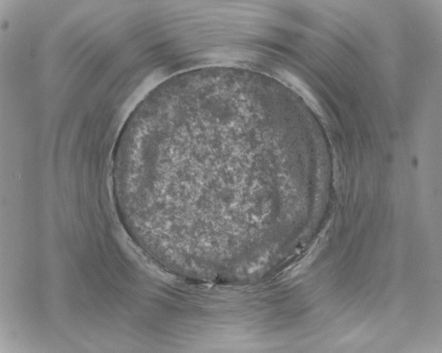 X0000073750899200608311932