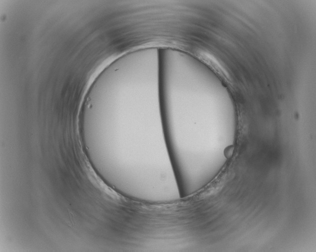 X0000073750900200608311932