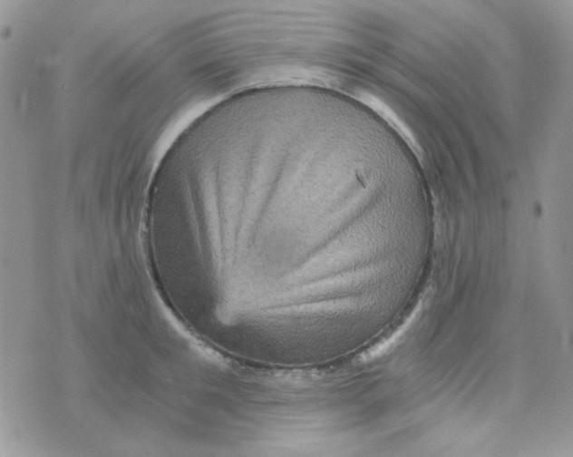 X0000073750901200608311932