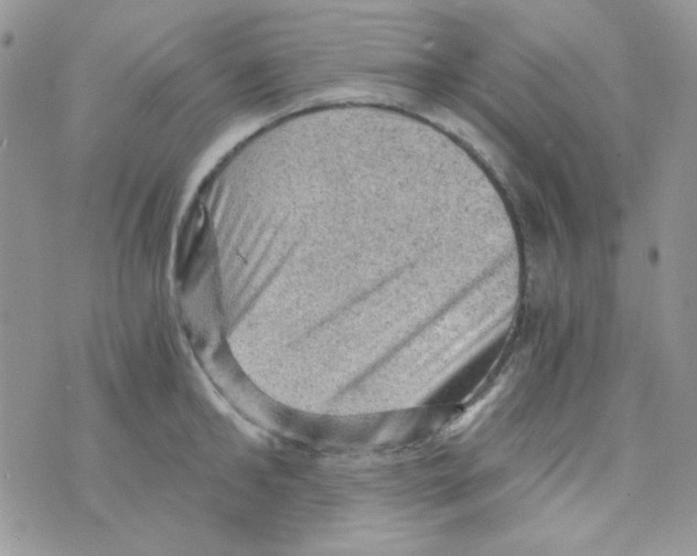 X0000073750902200608311932