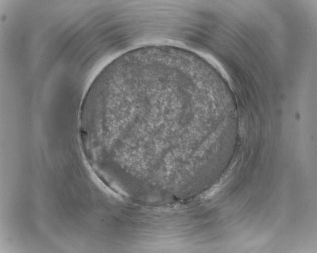 X0000073750903200608311932