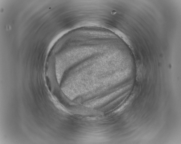 X0000073750904200608311932