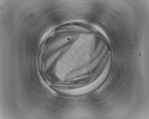 X0000073750906200608311932