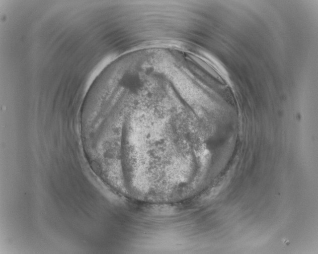 X0000073750907200608311932