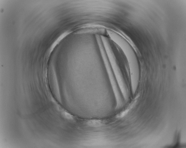 X0000073750909200608311932