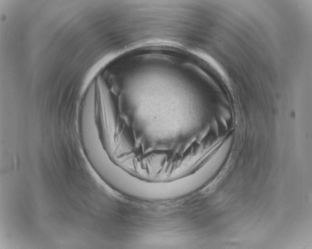 X0000073750910200608311932