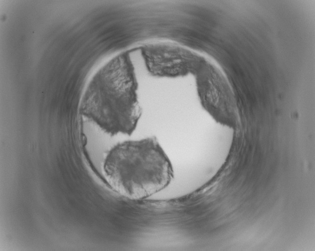 X0000073750911200608311932