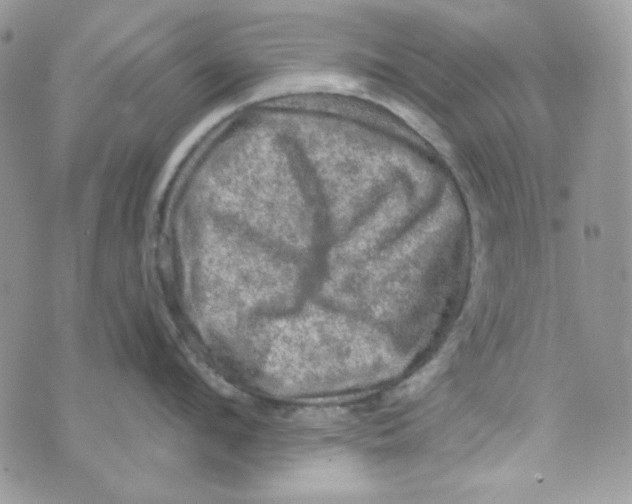 X0000073750912200608311932