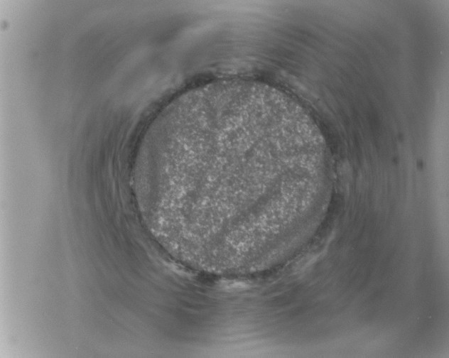 X0000073750913200608311931