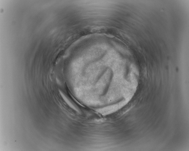 X0000073750914200608311931