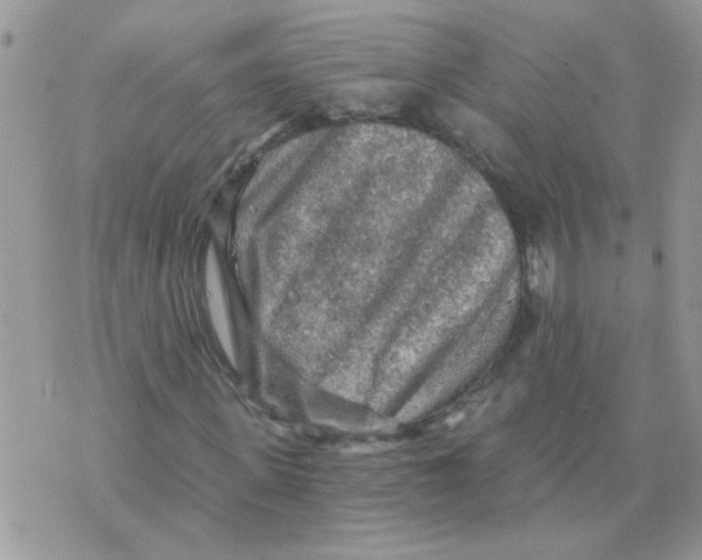 X0000073750915200608311931