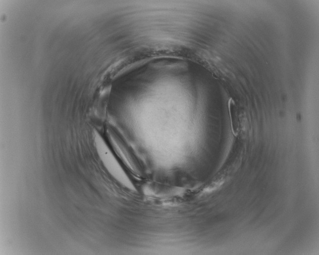 X0000073750916200608311931