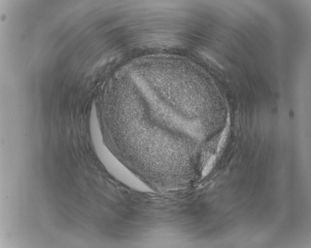 X0000073750917200608311931