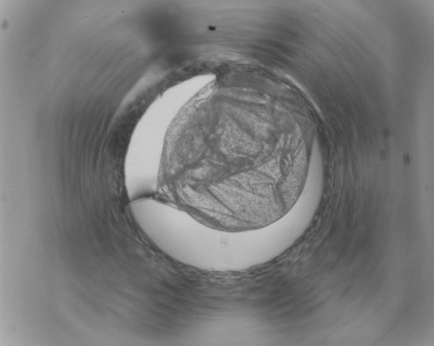 X0000073750919200608311931