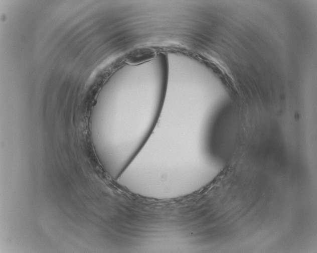 X0000073750920200608311931