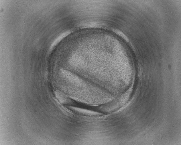 X0000073750922200608311931