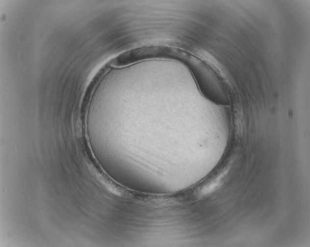 X0000073750924200608311931