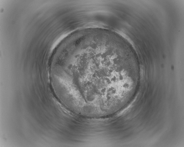 X0000073750925200608311931