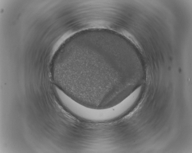 X0000073750926200608311931