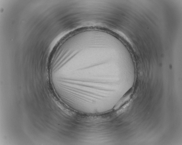 X0000073750927200608311931