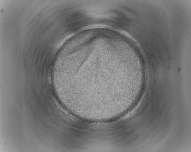 X0000073750929200608311931