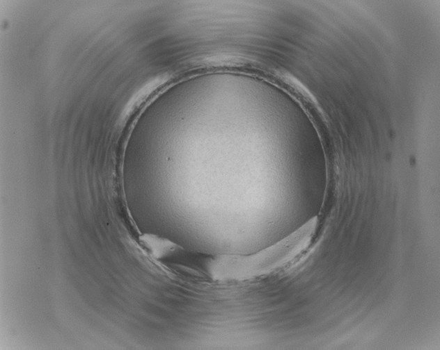 X0000073750930200608311931