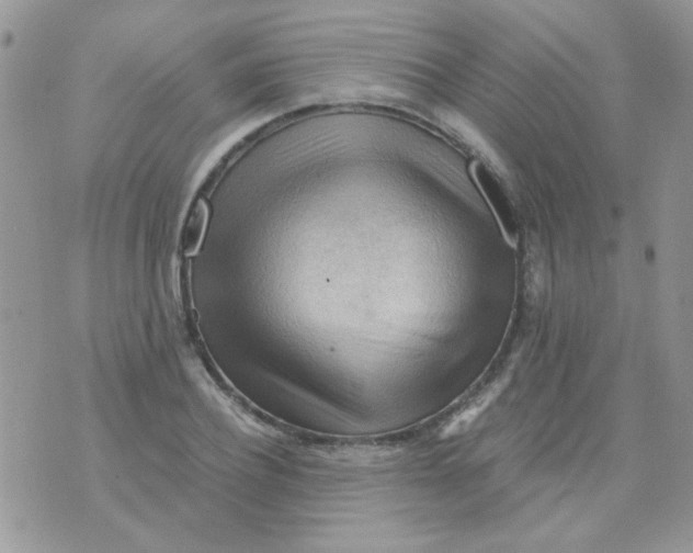 X0000073750932200608311931